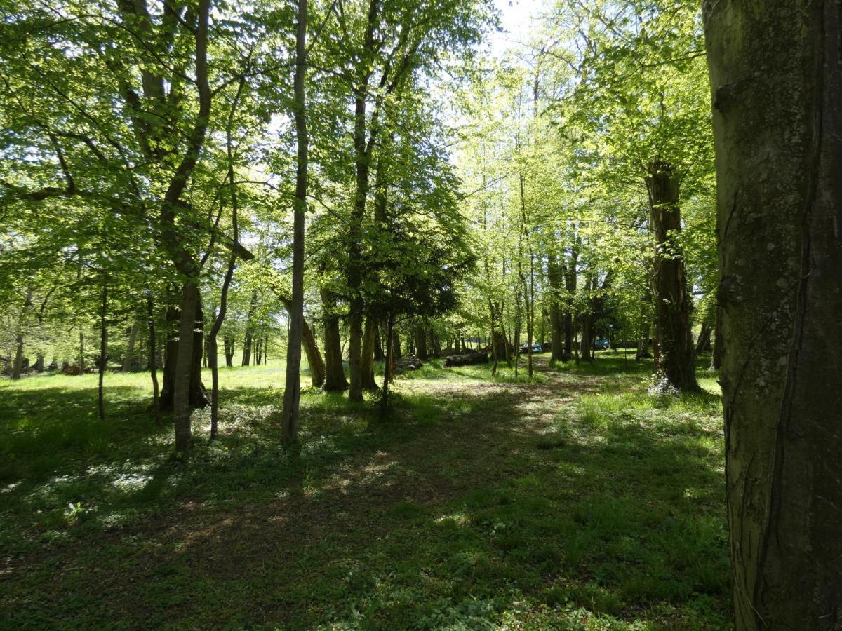 Hotel Des 4 Continents - Le Mans Saint-Saturnin  Esterno foto
